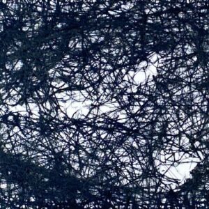 塩田千春 　「空気の中のドローイング」の買取画像　